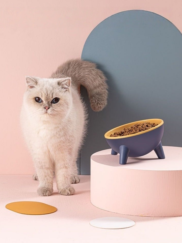 Ergonomic Tilted Cat Bowl