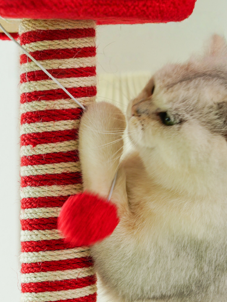 Colorful U-Tube Cat Tree
