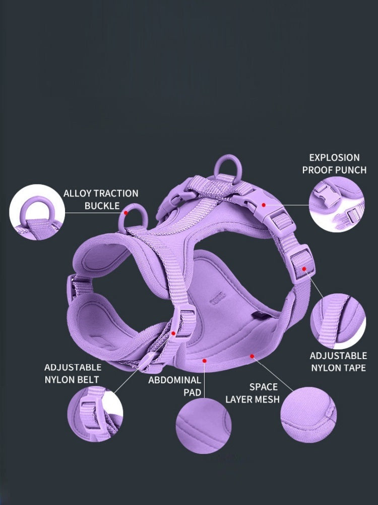 No Pull Dog Harness Leash Set