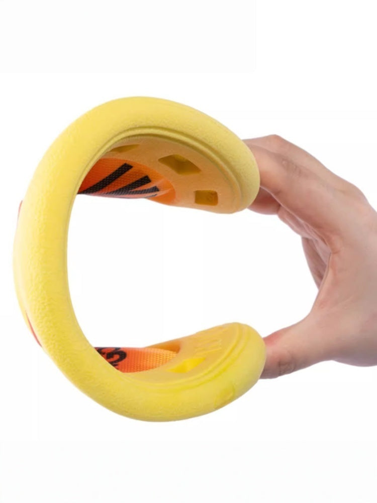 HOWGO Treat-Groove Dog Frisbee