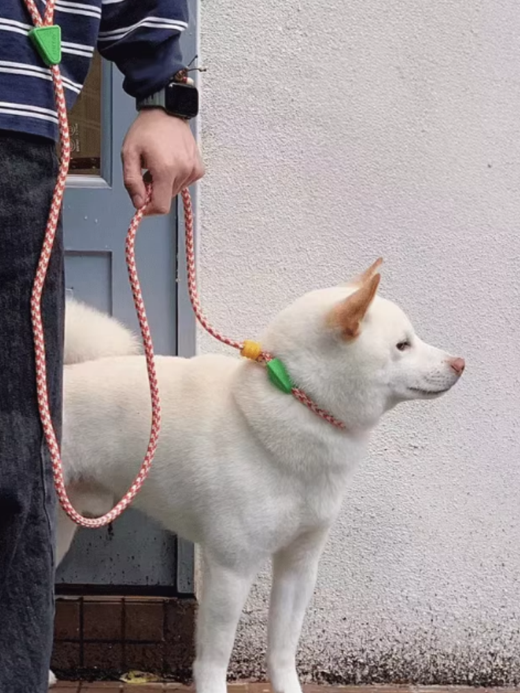 No-Pull Shock-Absorbing Dog Leash