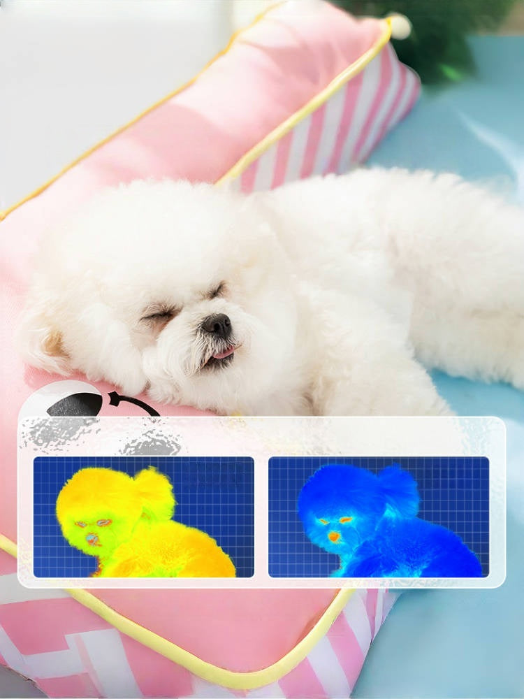 Cooling Orthopedic Pet Bed