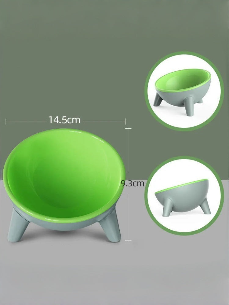 Ergonomic Tilted Cat Bowl