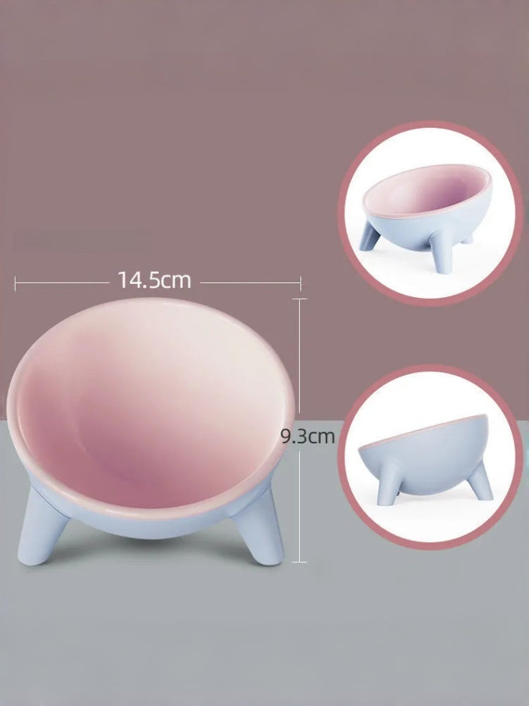 Ergonomic Tilted Cat Bowl