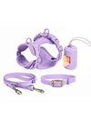 No Pull Dog Harness Leash Set