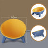 Ergonomic Tilted Cat Bowl