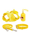 No Pull Dog Harness Leash Set