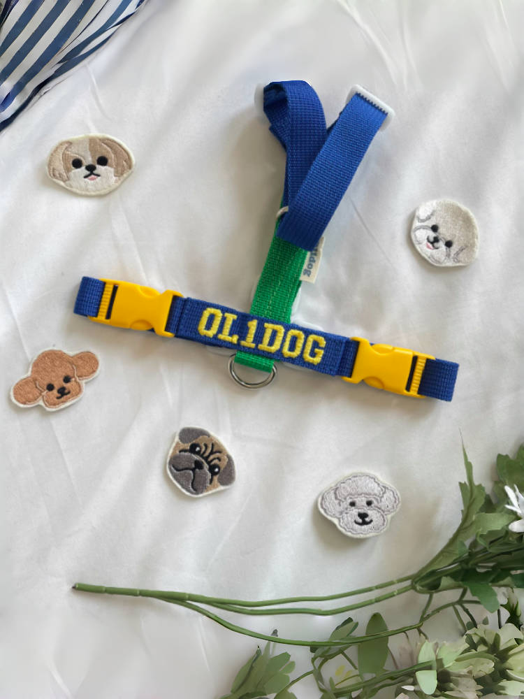 Custom-Name H Harness