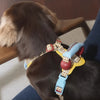 Water-Resistant Adventure Dog Harness