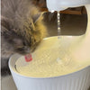 Anti-Gravity Pet Water Fountain