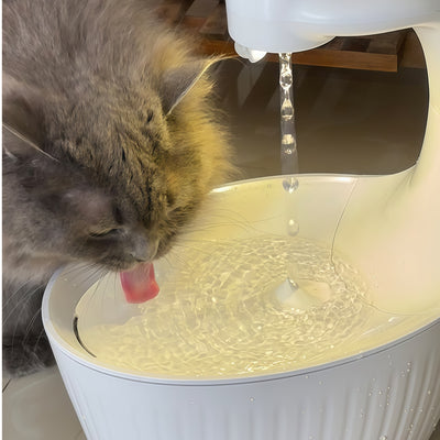 Anti-Gravity Pet Water Fountain