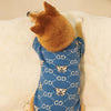 LUUFIFI Blue Bear Letter Knit Pet Sweater