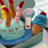 Pet Plush Toy Birthday Gift Set