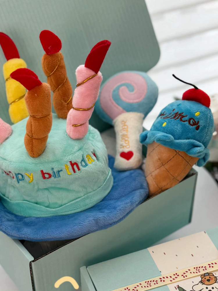 Pet Plush Toy Birthday Gift Set