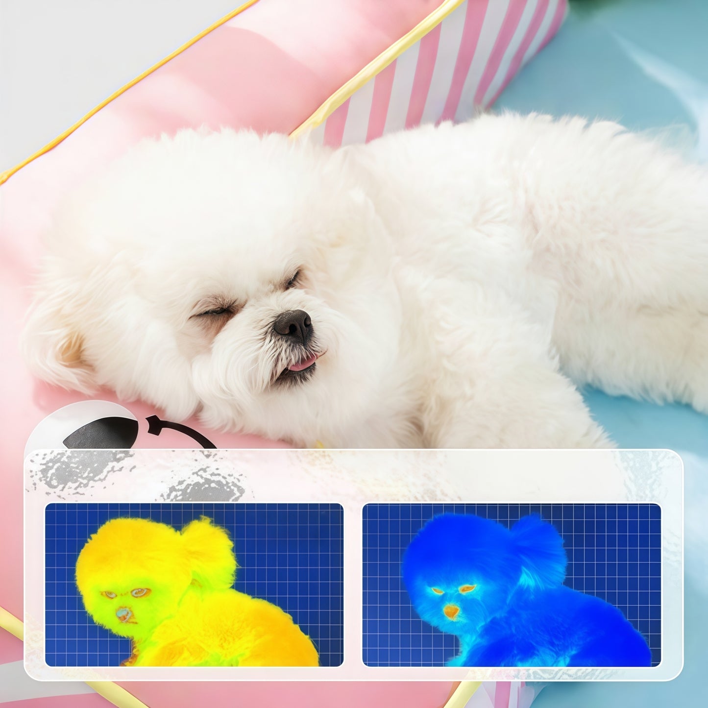 Cooling Orthopedic Pet Bed