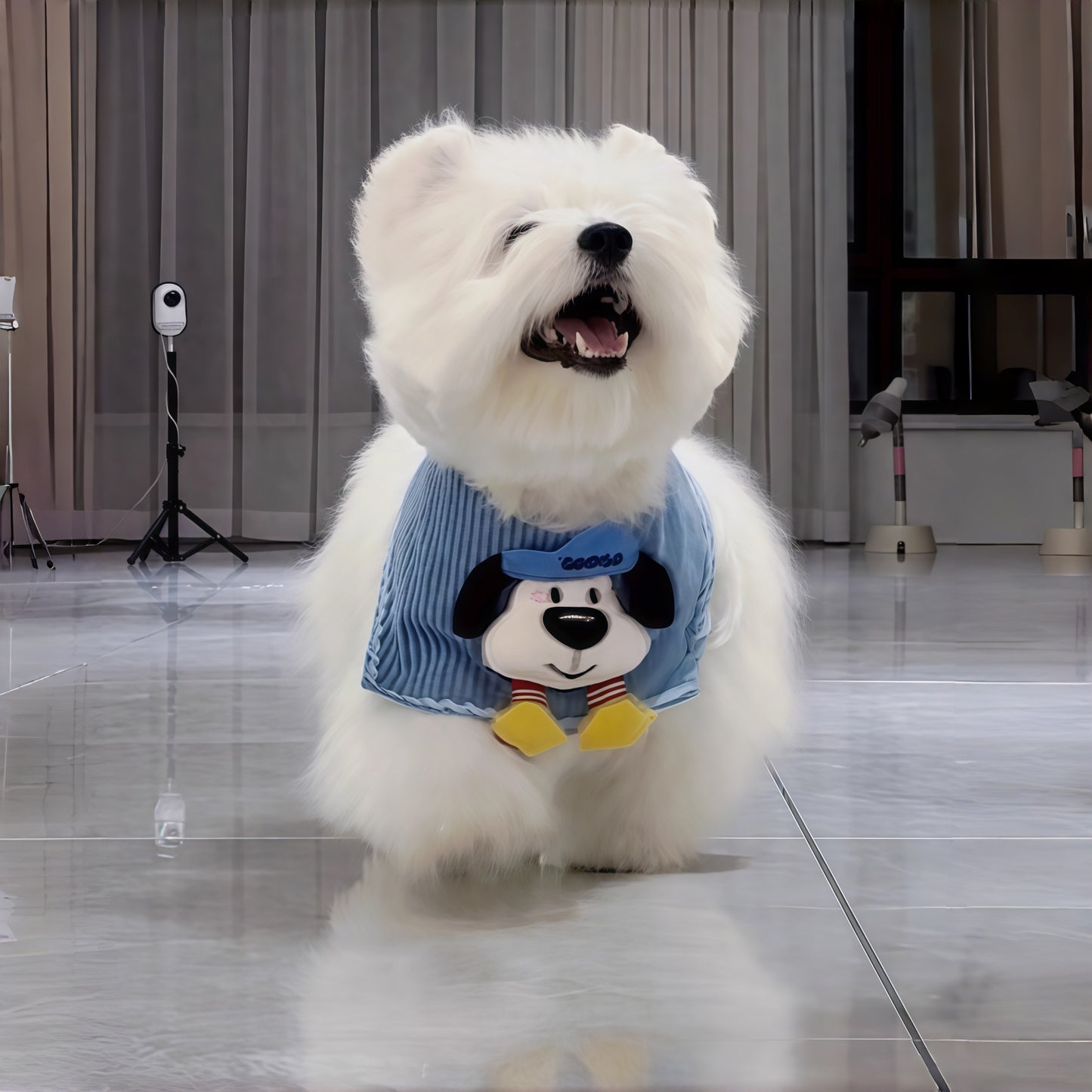 LUUFIFI Denim Pet Bandana Bib Scarf