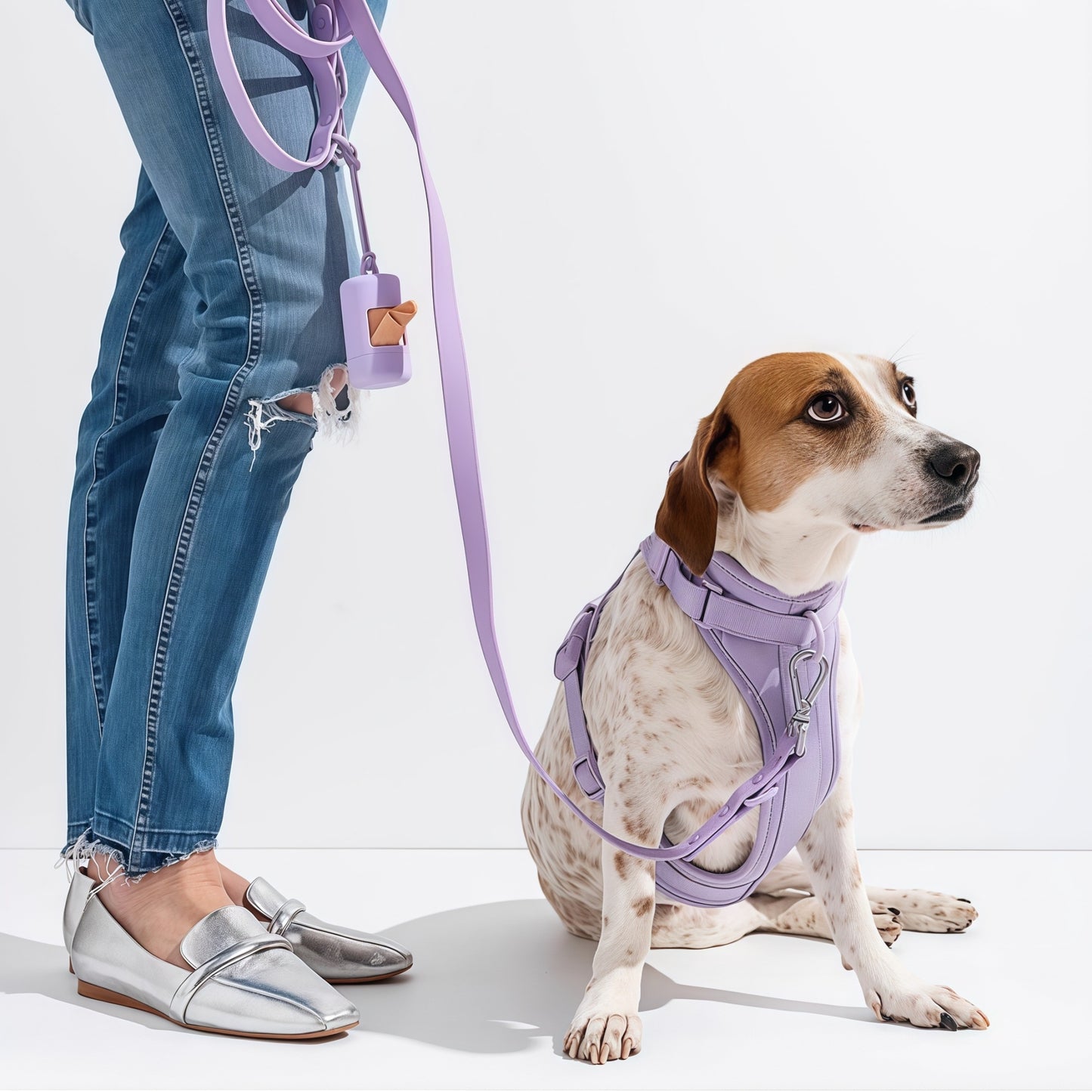 No Pull Dog Harness Leash Set