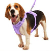 No Pull Dog Harness Leash Set