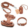 No Pull Dog Harness Leash Set
