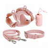 No Pull Dog Harness Leash Set