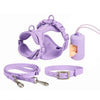 No Pull Dog Harness Leash Set