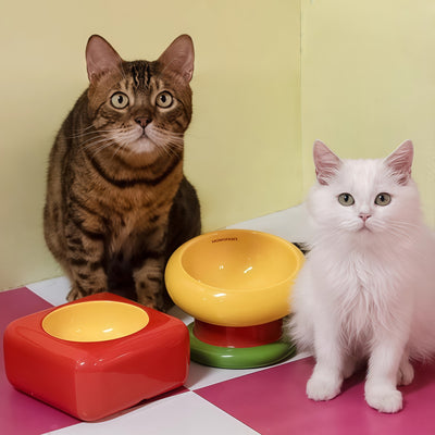Dopamine Ceramic Cat & Dog Bowls