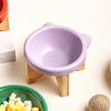 Elevated Porcelain Pet Bowl with Removable Wooden Stand