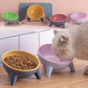Ergonomic Tilted Cat Bowl