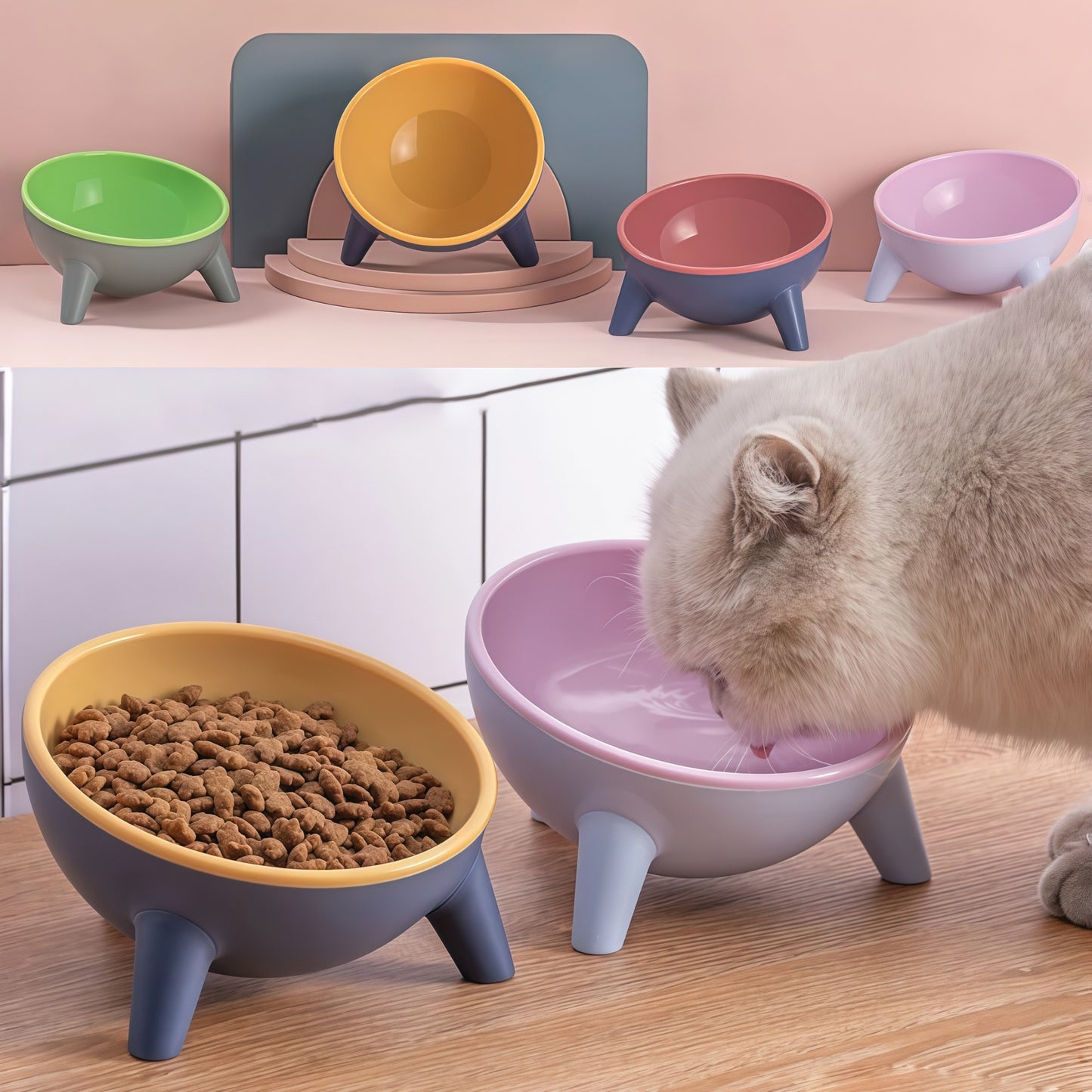 Ergonomic Tilted Cat Bowl