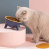 Ergonomic Tilted Cat Bowl