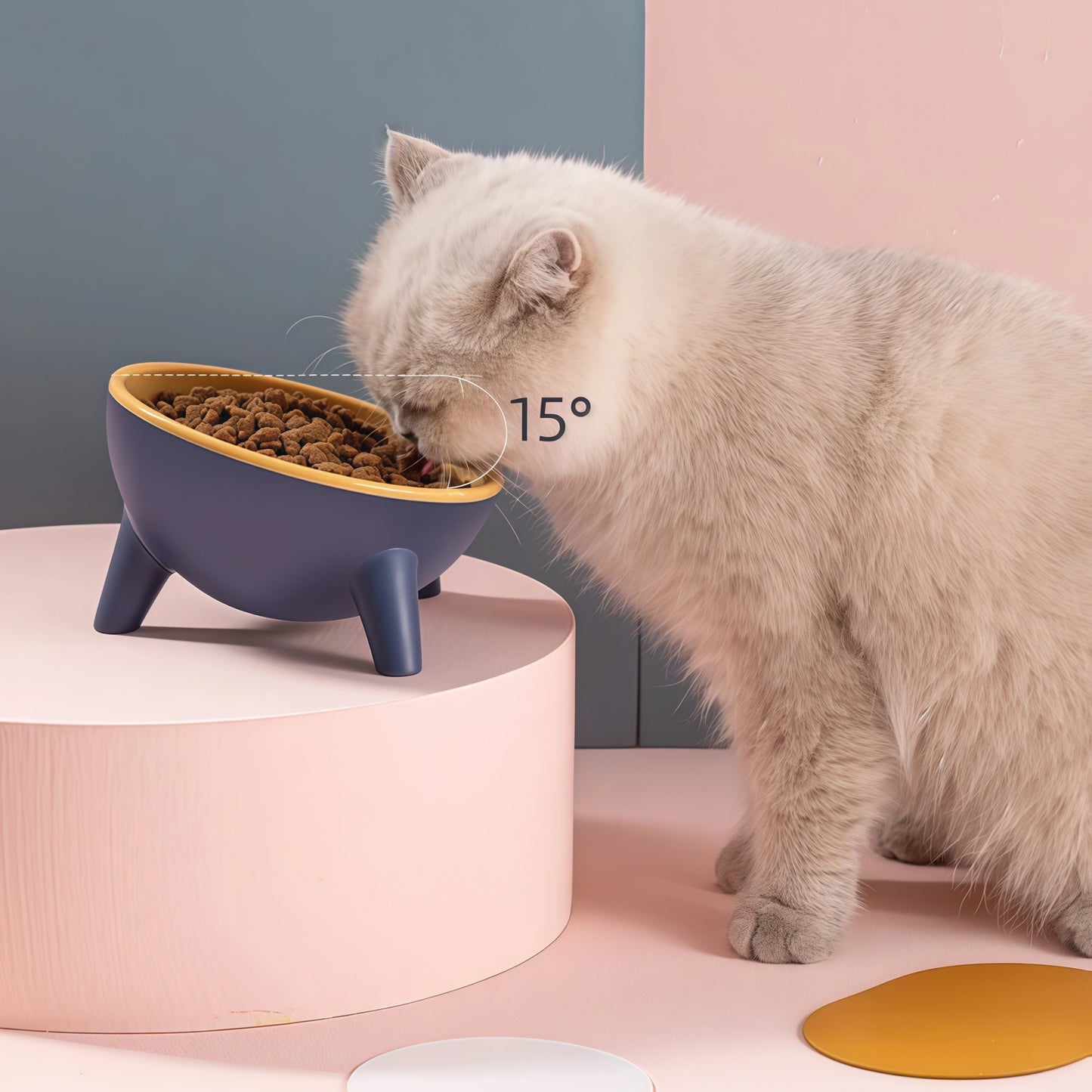 Ergonomic Tilted Cat Bowl