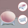 Ergonomic Tilted Cat Bowl