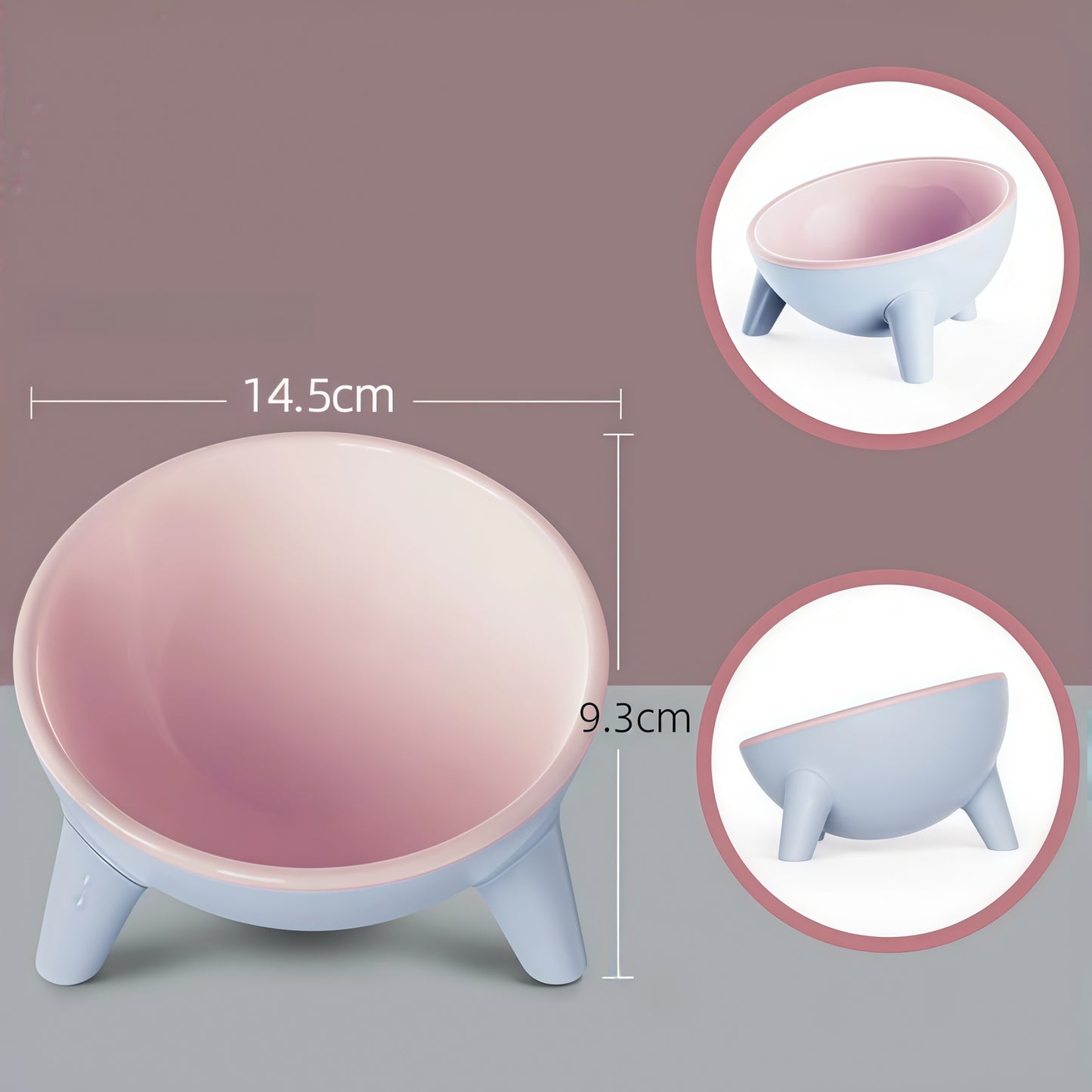 Ergonomic Tilted Cat Bowl