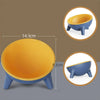 Ergonomic Tilted Cat Bowl