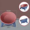 Ergonomic Tilted Cat Bowl