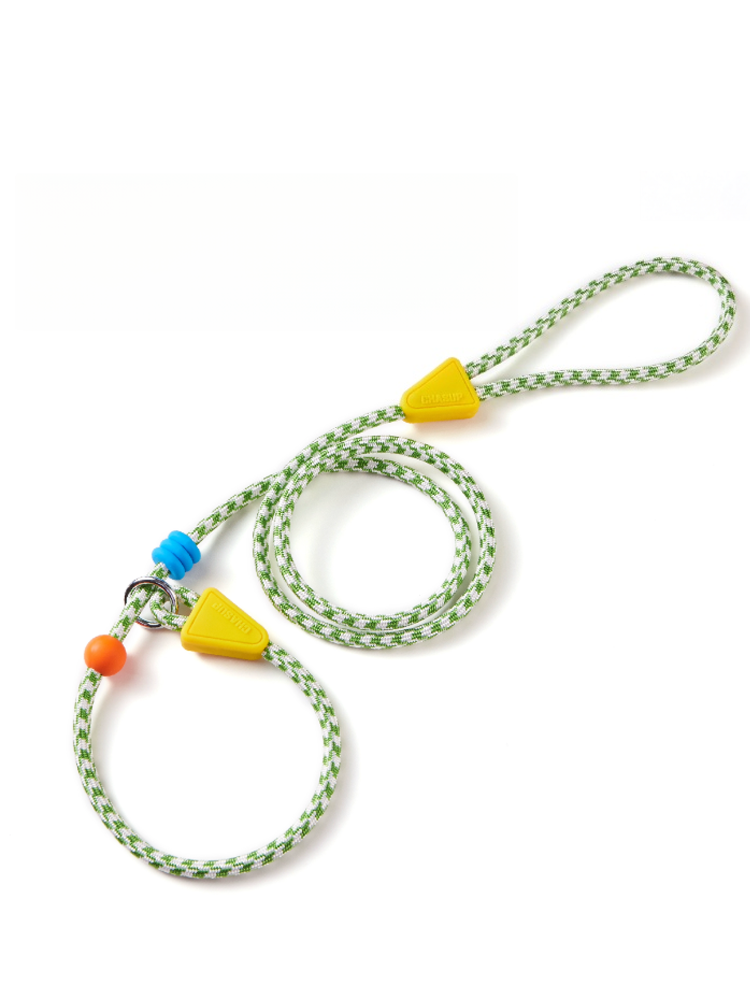 No-Pull Shock-Absorbing Dog Leash