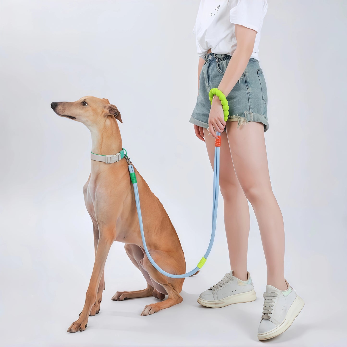 Hands-Free Anti-Pull Dog Leash