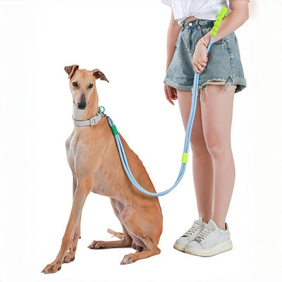 Hands-Free Anti-Pull Dog Leash