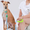 Hands-Free Anti-Pull Dog Leash