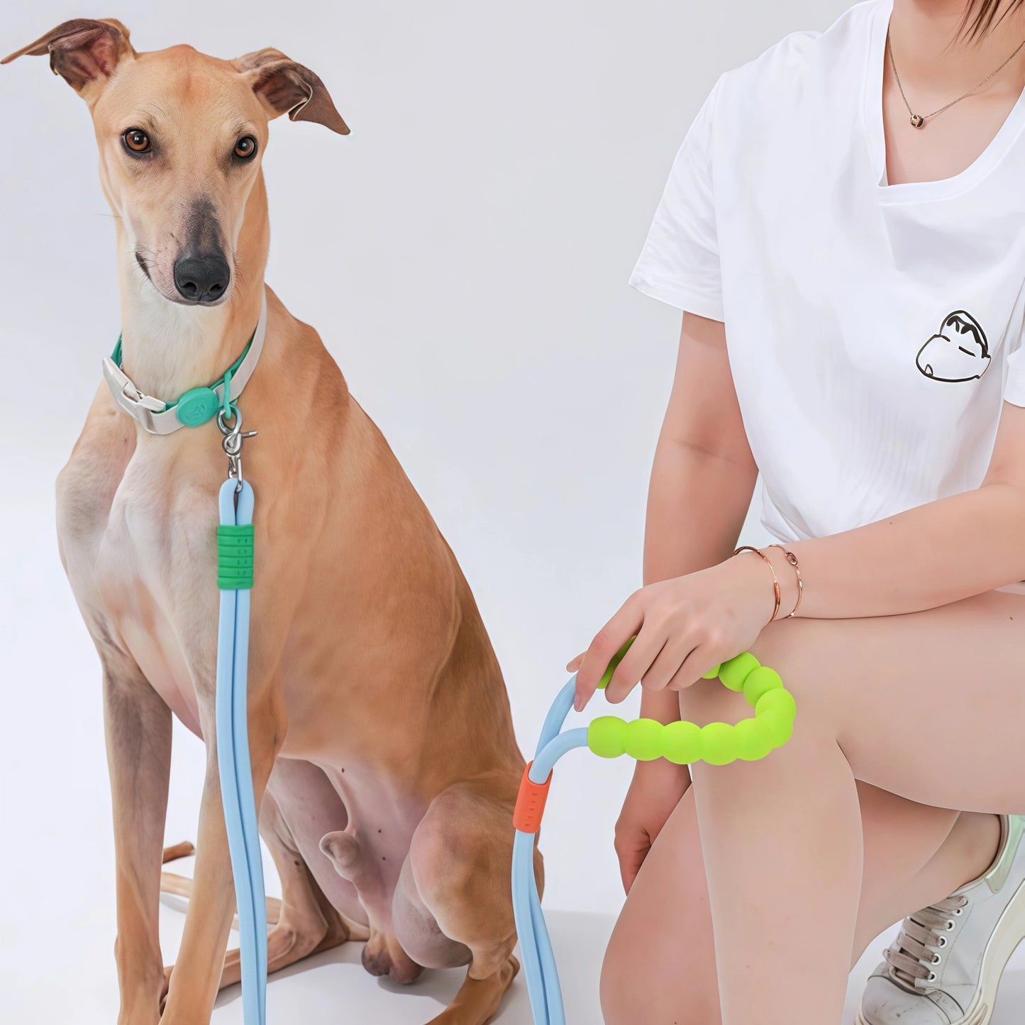 Hands-Free Anti-Pull Dog Leash