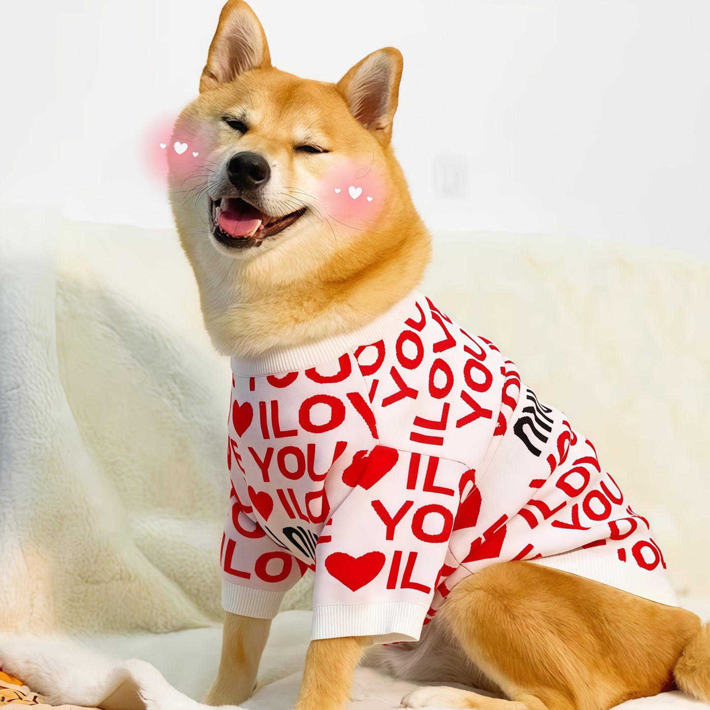 LUUFIFI Heart Letter Knit Pet Sweater