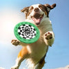 Treat-Groove Dog Frisbee
