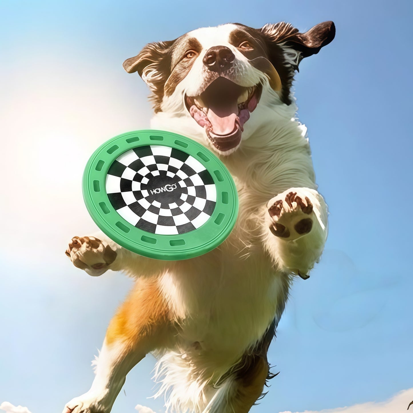 Treat-Groove Dog Frisbee