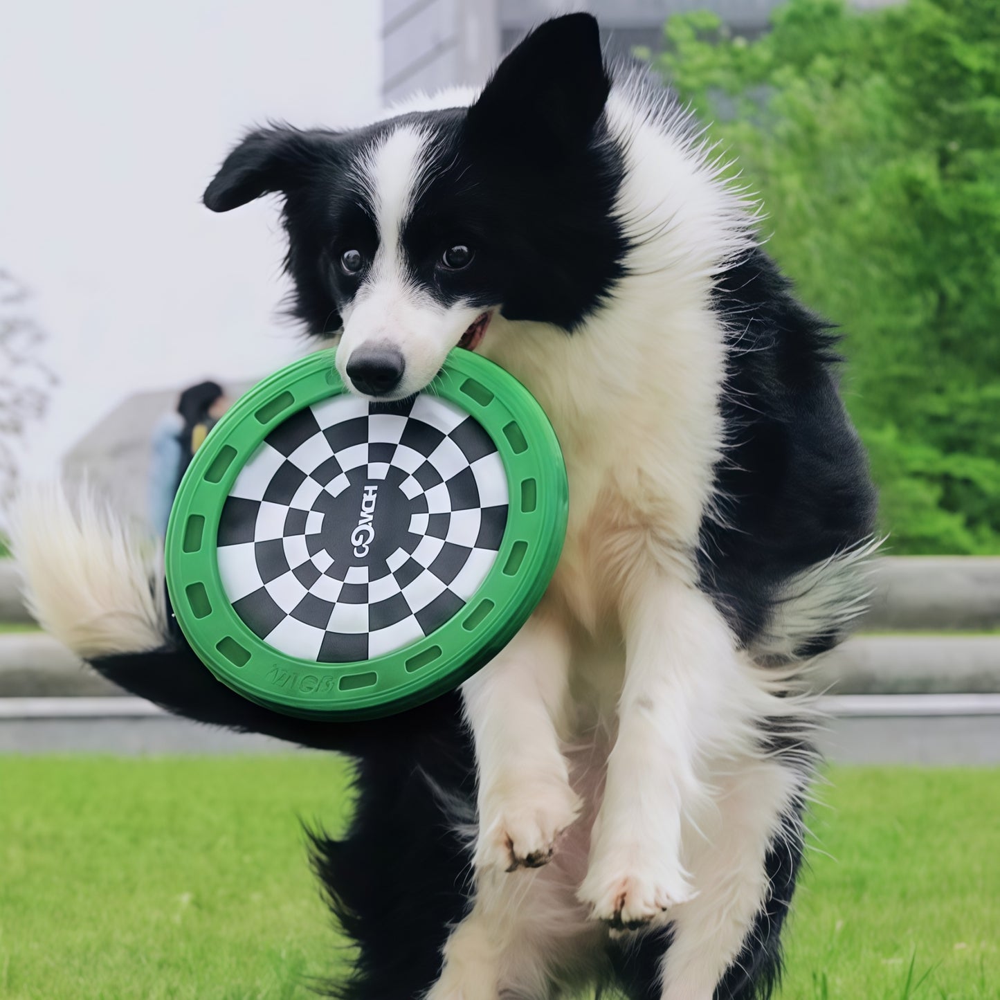 Treat-Groove Dog Frisbee