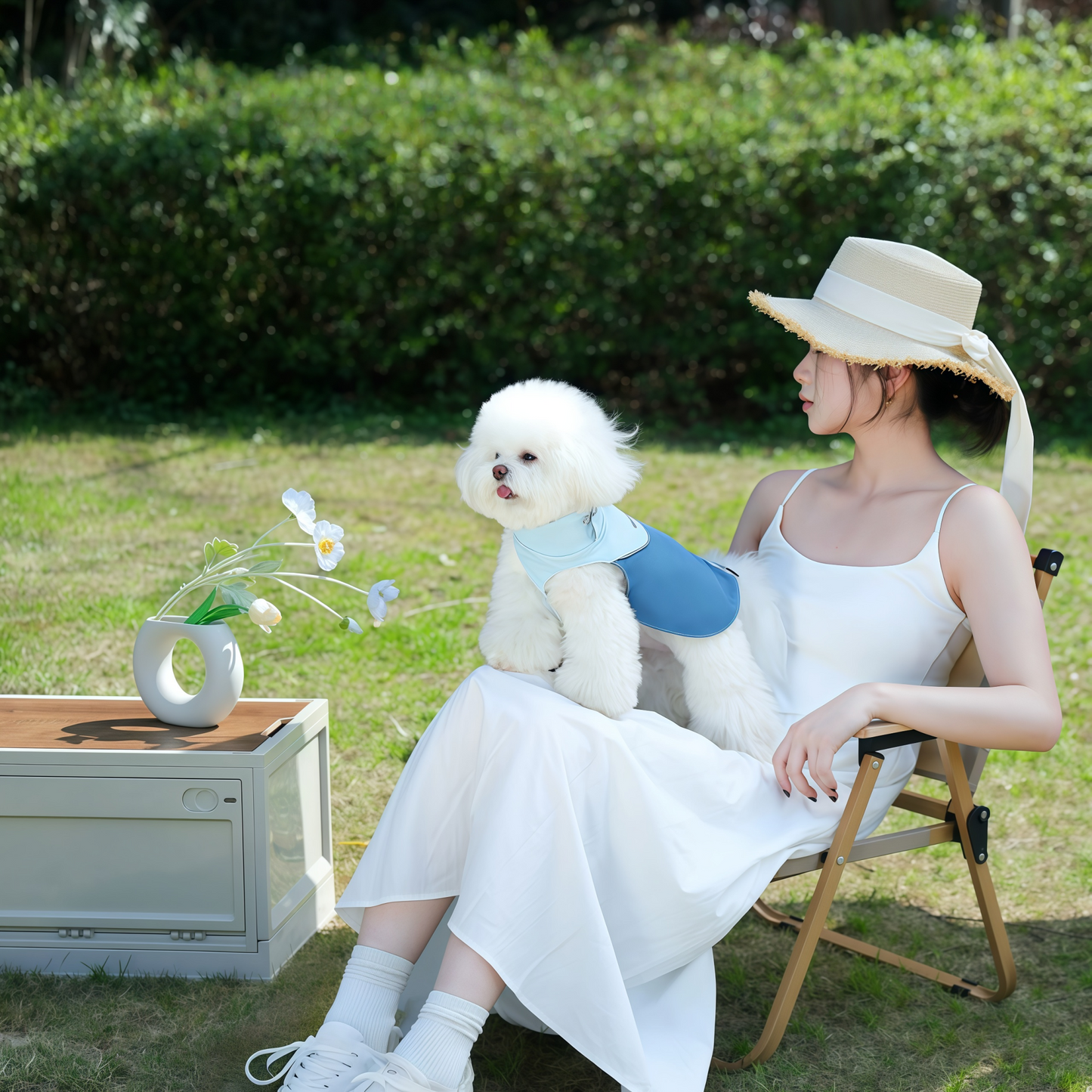 Lightweight Dog Windbreaker Jacket with Leash Hole