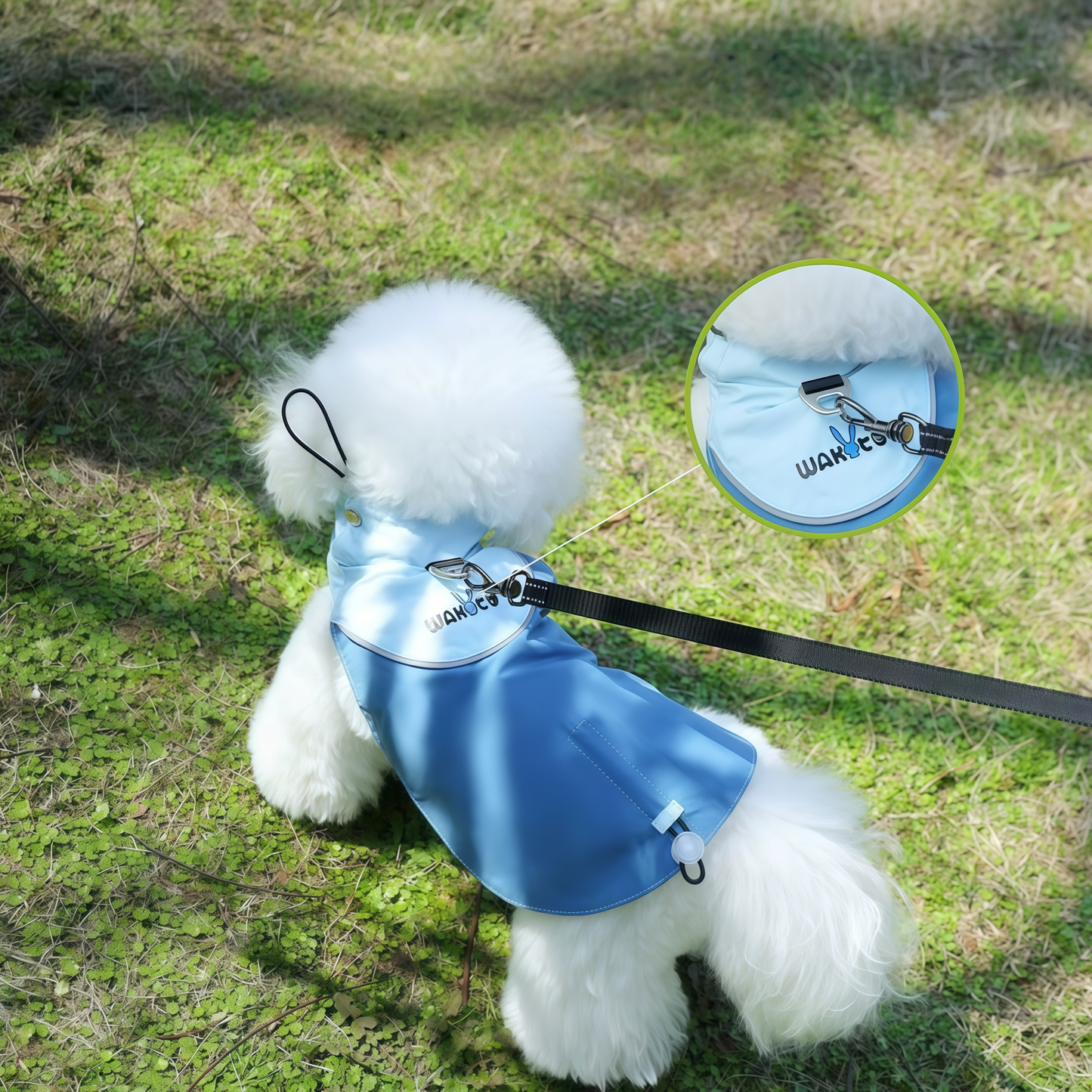 Lightweight Dog Windbreaker Jacket with Leash Hole
