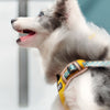 Lightweight No-Pull Dog Harness with Reflective Trim