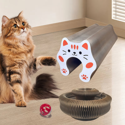 Magnetic Accordion Cat Scratcher Toy