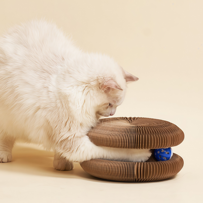 Magnetic Accordion Cat Scratcher Toy