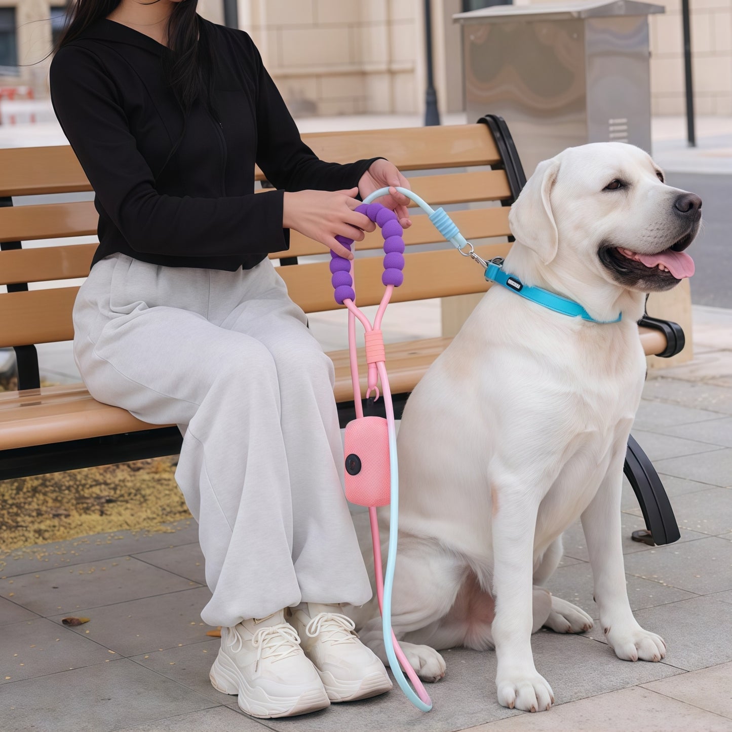 No-Pull Dog Leash for Small & Medium Breeds
